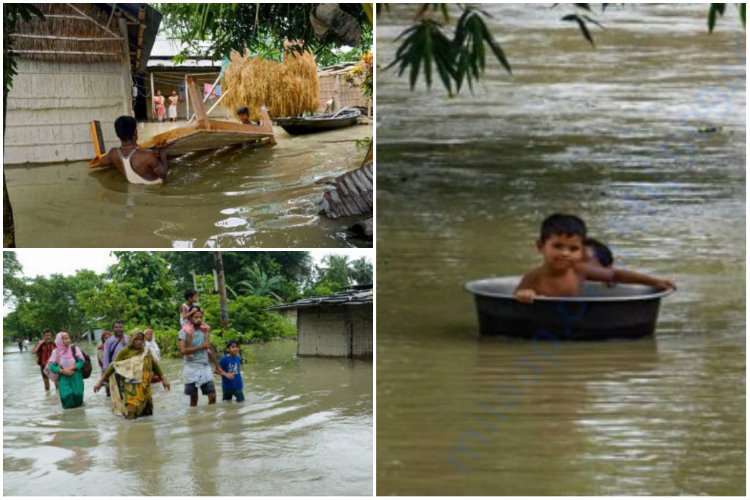 Assam flood Situations Photo