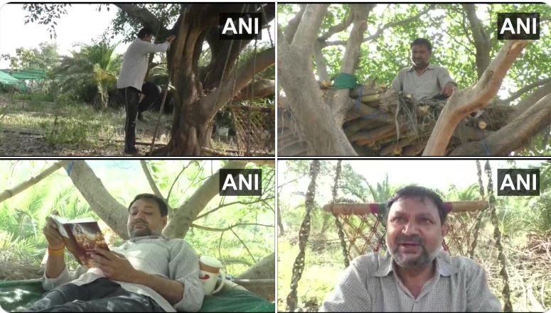hapur lawyer make Home at tree